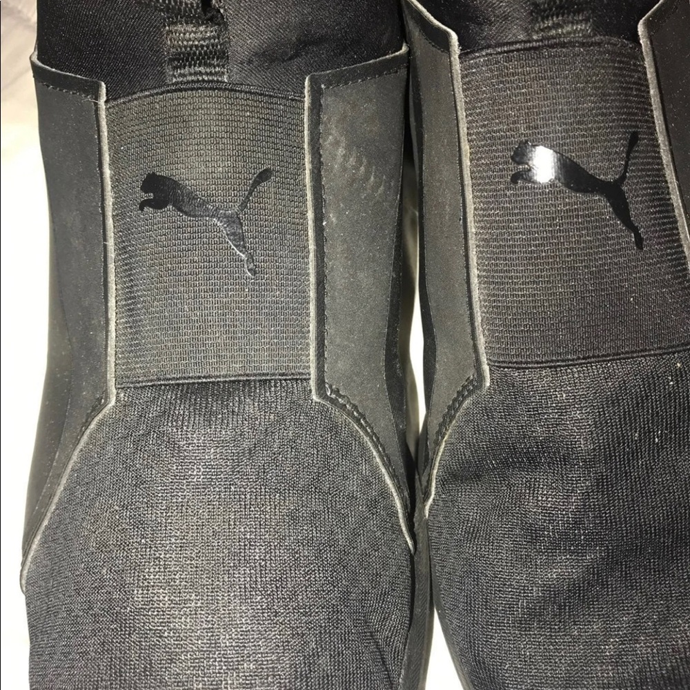Pumas - Picture 3 of 3